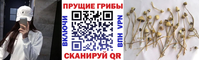 Галлюциногенные грибы мухоморы  mega ONION  Луга 